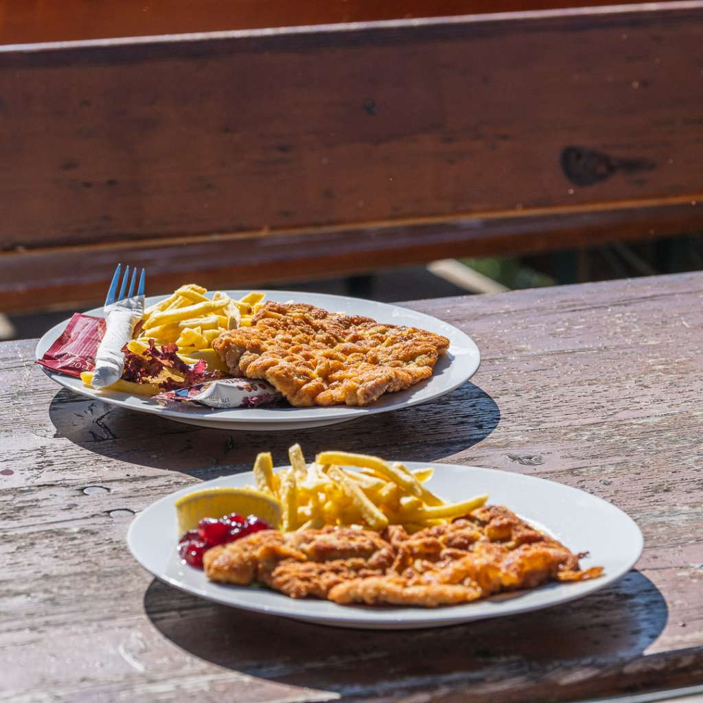 Schnitzel en el Dr. Oedl Schutzhaus