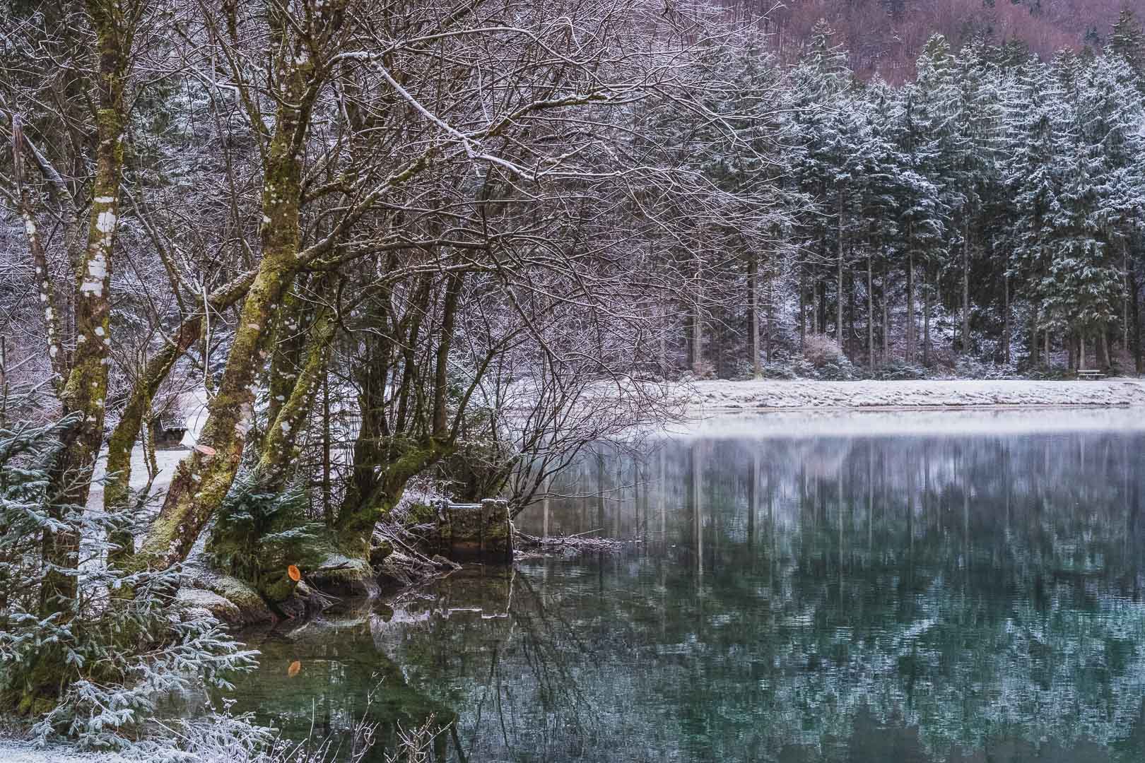 Bluntautal in Golling an der Salzach