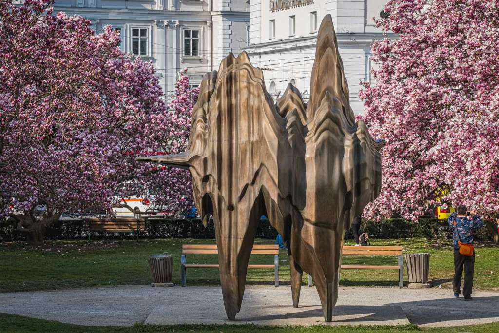 Salzburg Foundation Anthony Cregg Caldera on Makartplatz